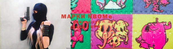 шишки Алзамай