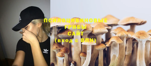 шишки Алзамай