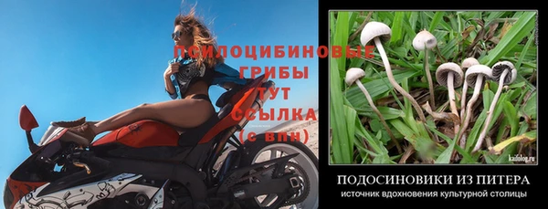 трава Алексеевка